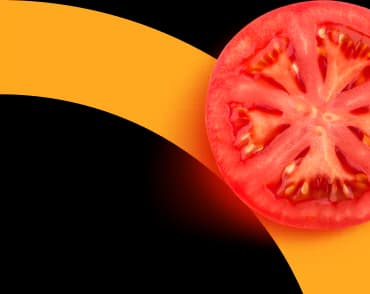 Logo da foozi e um tomate